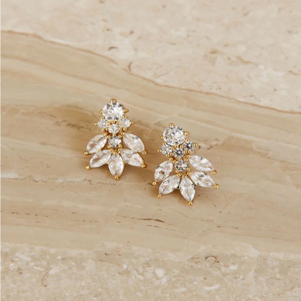 UNTAMED PETALS BY AMANDA JUDGE